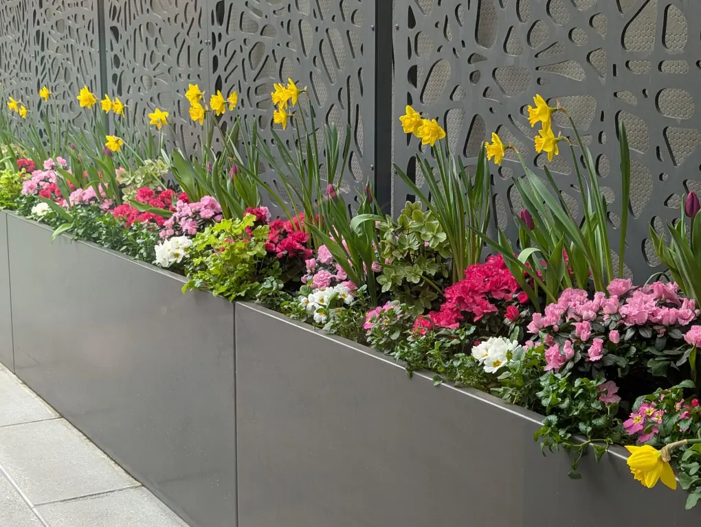RT Courtyard Spring